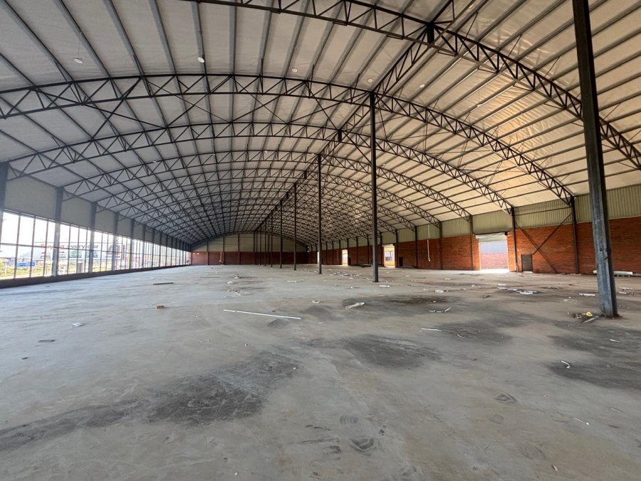 To Let Commercial Property for Rent in Willowton KwaZulu-Natal