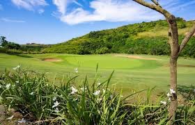 0 Bedroom Property for Sale in Zimbali Lakes Resort KwaZulu-Natal