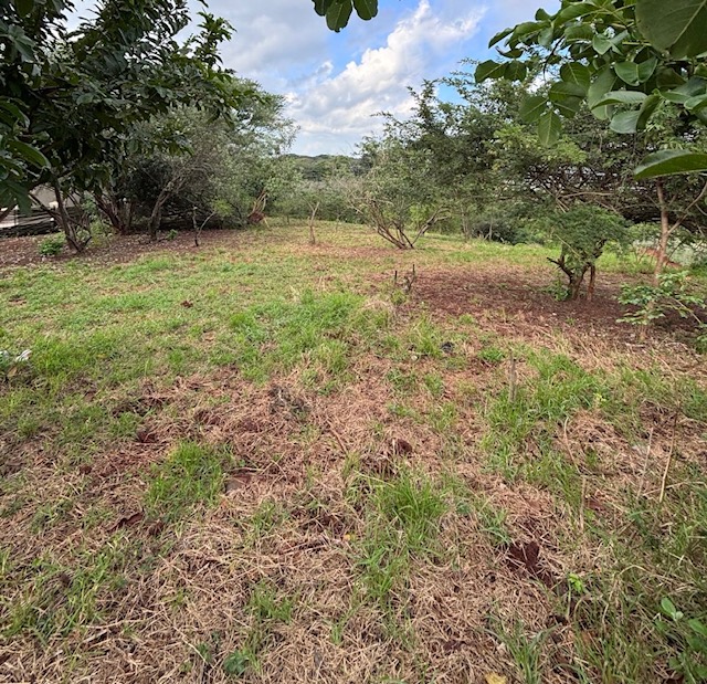 0 Bedroom Property for Sale in Zini River Estate KwaZulu-Natal