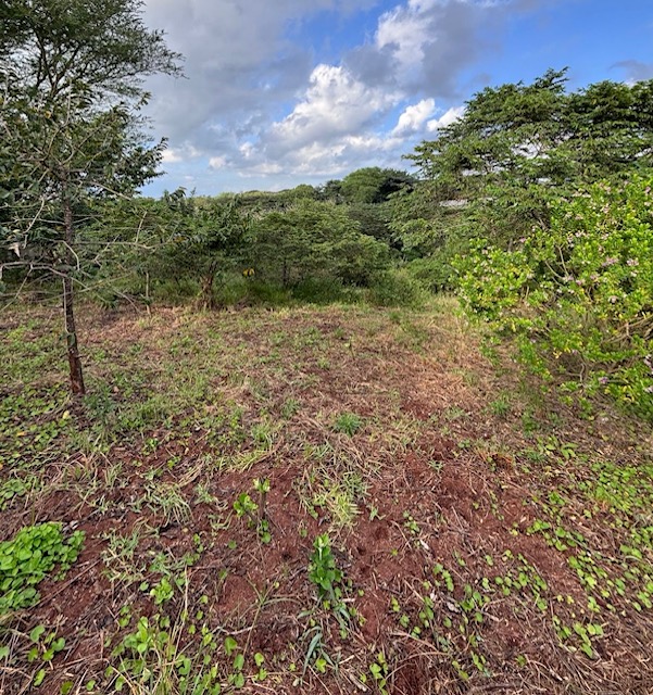 0 Bedroom Property for Sale in Zini River Estate KwaZulu-Natal