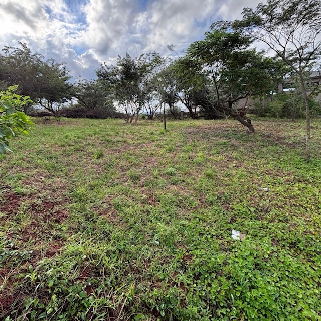 0 Bedroom Property for Sale in Zini River Estate KwaZulu-Natal