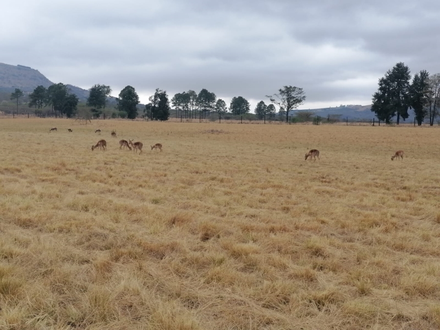 3 Bedroom Property for Sale in Albert Falls KwaZulu-Natal