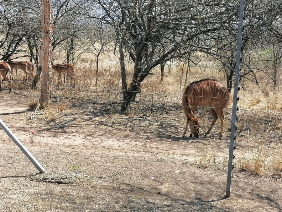 3 Bedroom Property for Sale in Albert Falls KwaZulu-Natal