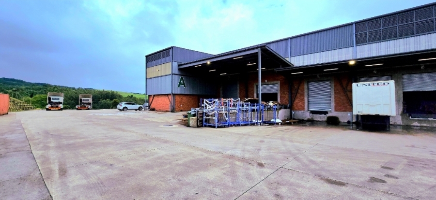 To Let Commercial Property for Rent in Cliffdale KwaZulu-Natal