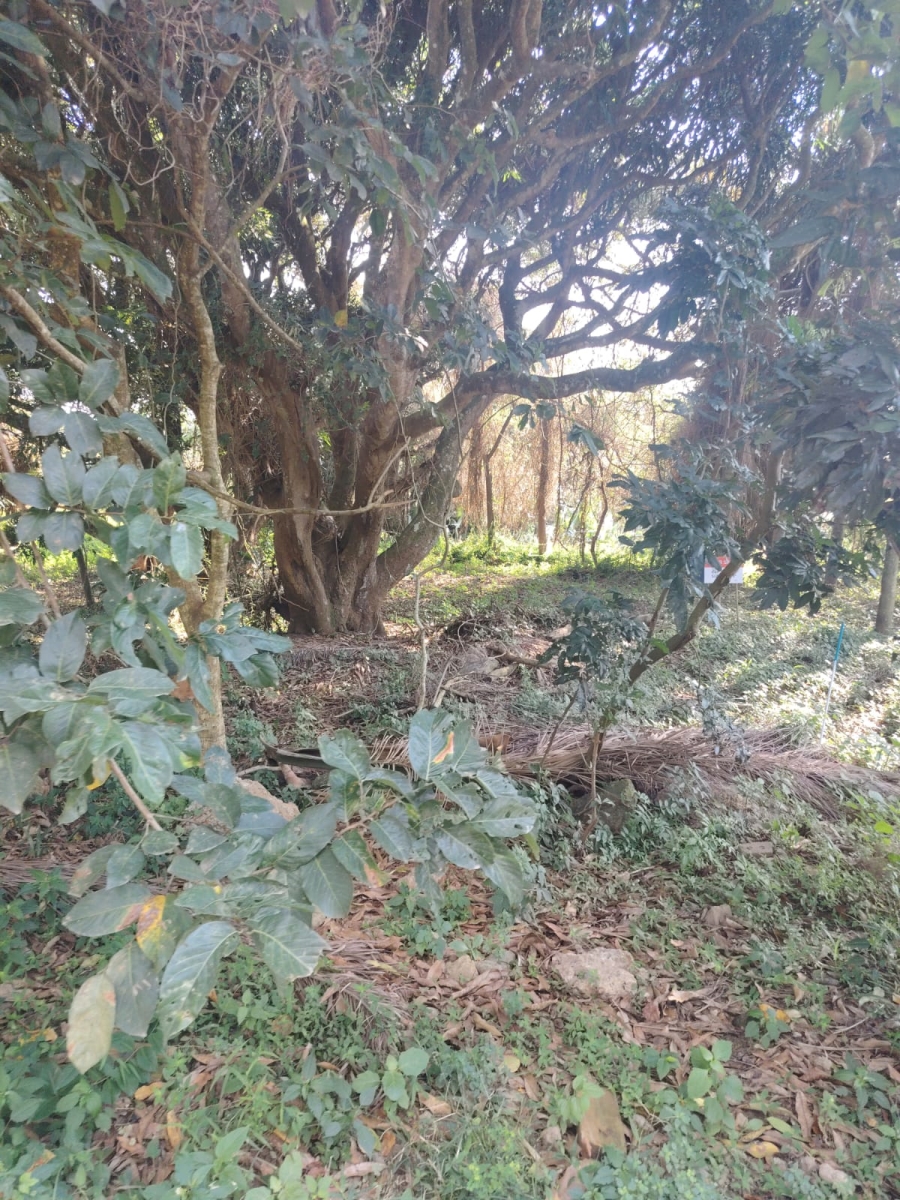 0 Bedroom Property for Sale in Seaton Estate KwaZulu-Natal