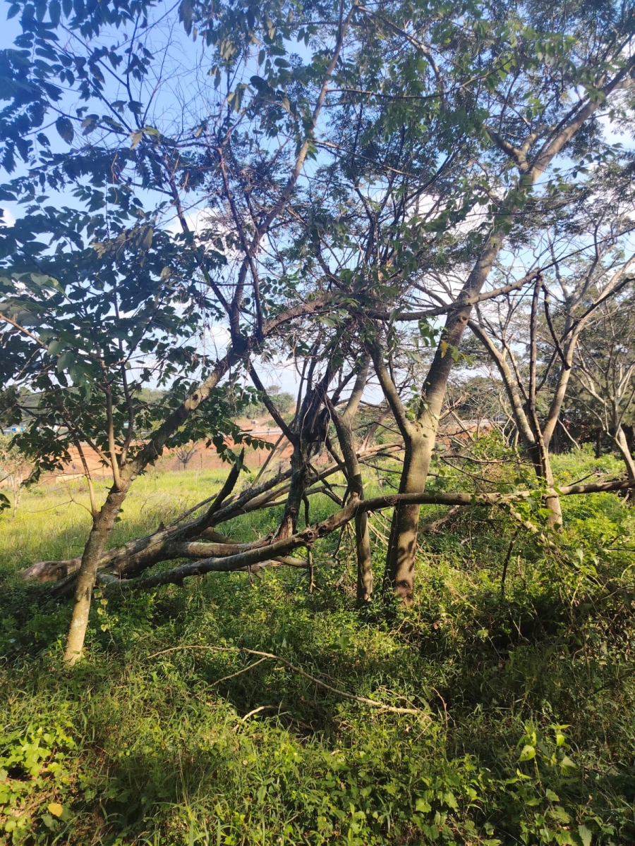 0 Bedroom Property for Sale in Seaton Estate KwaZulu-Natal