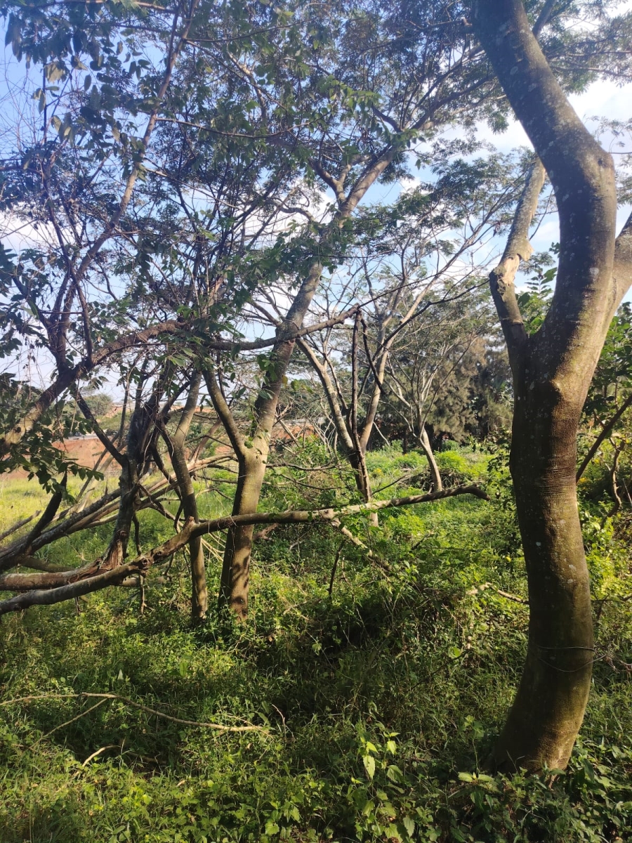 0 Bedroom Property for Sale in Seaton Estate KwaZulu-Natal
