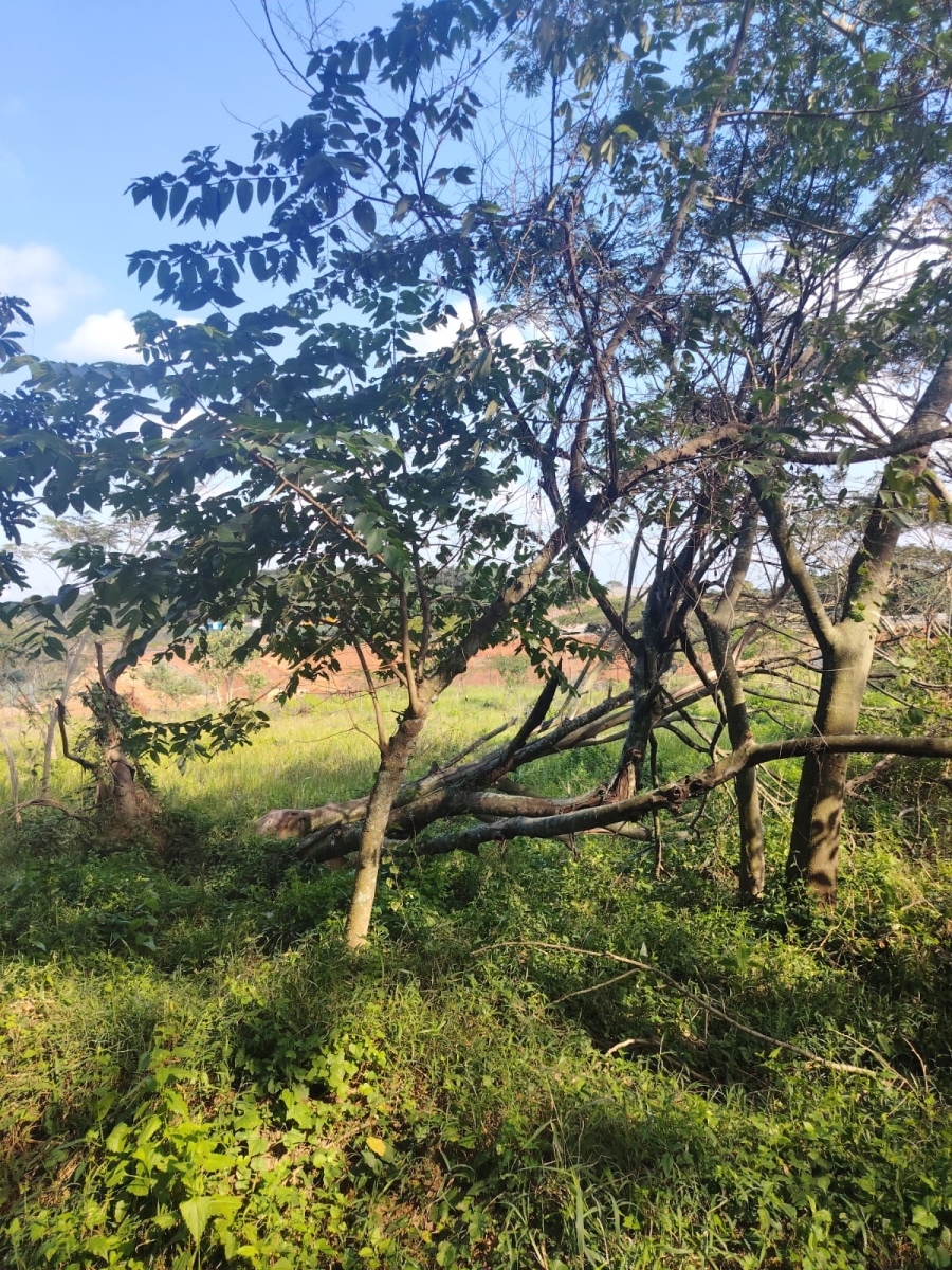0 Bedroom Property for Sale in Seaton Estate KwaZulu-Natal