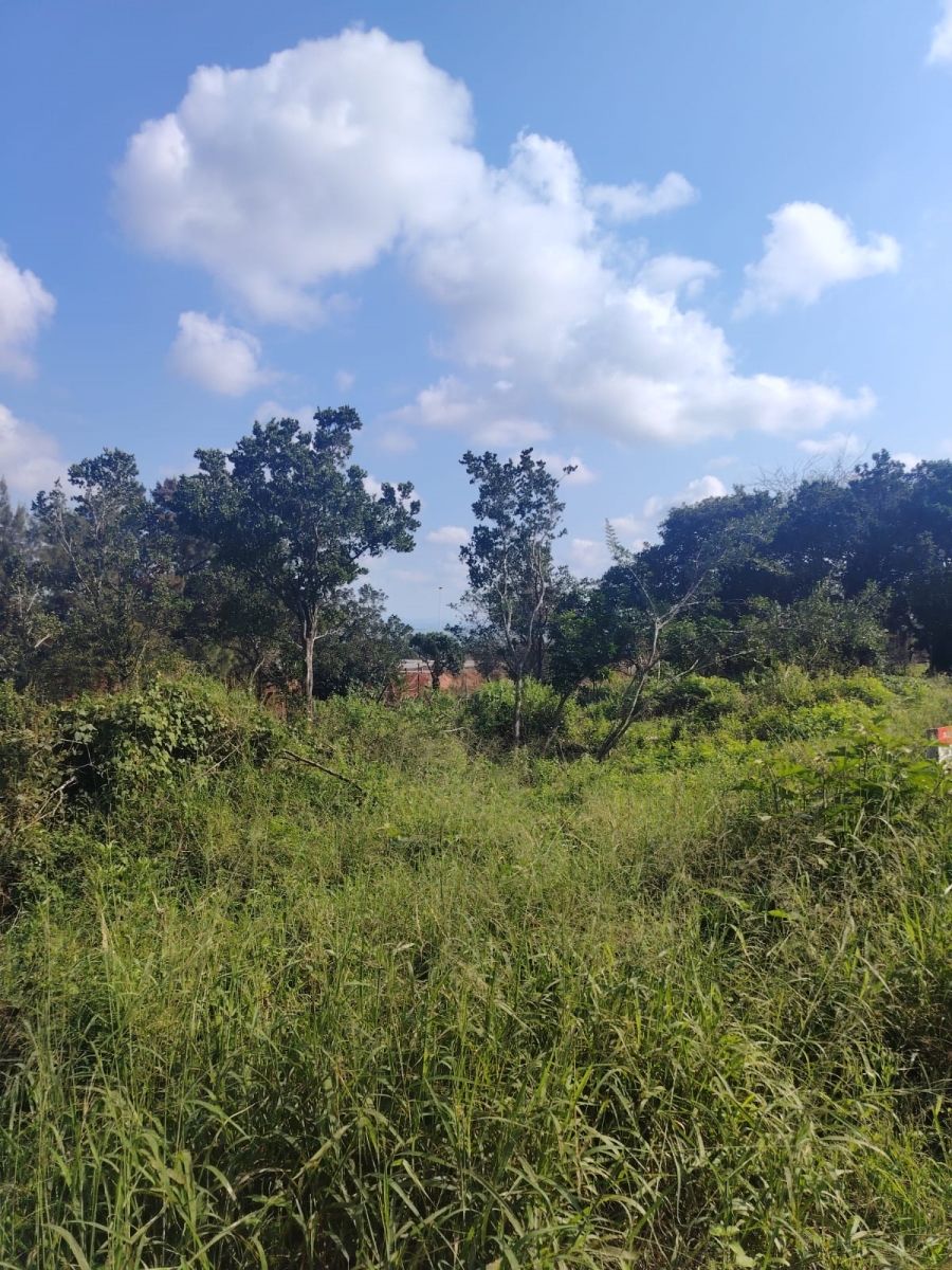 0 Bedroom Property for Sale in Seaton Estate KwaZulu-Natal