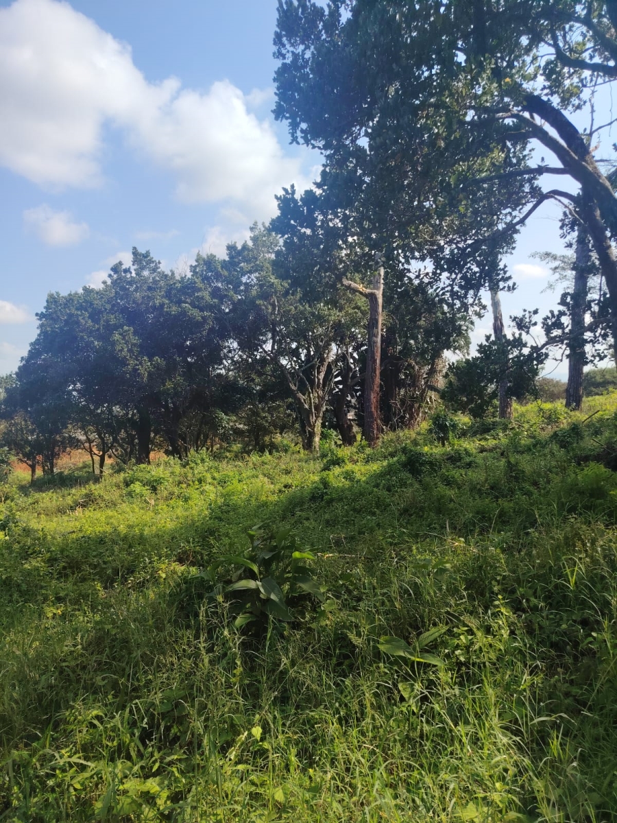 0 Bedroom Property for Sale in Seaton Estate KwaZulu-Natal