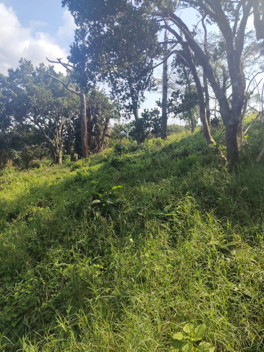 0 Bedroom Property for Sale in Seaton Estate KwaZulu-Natal