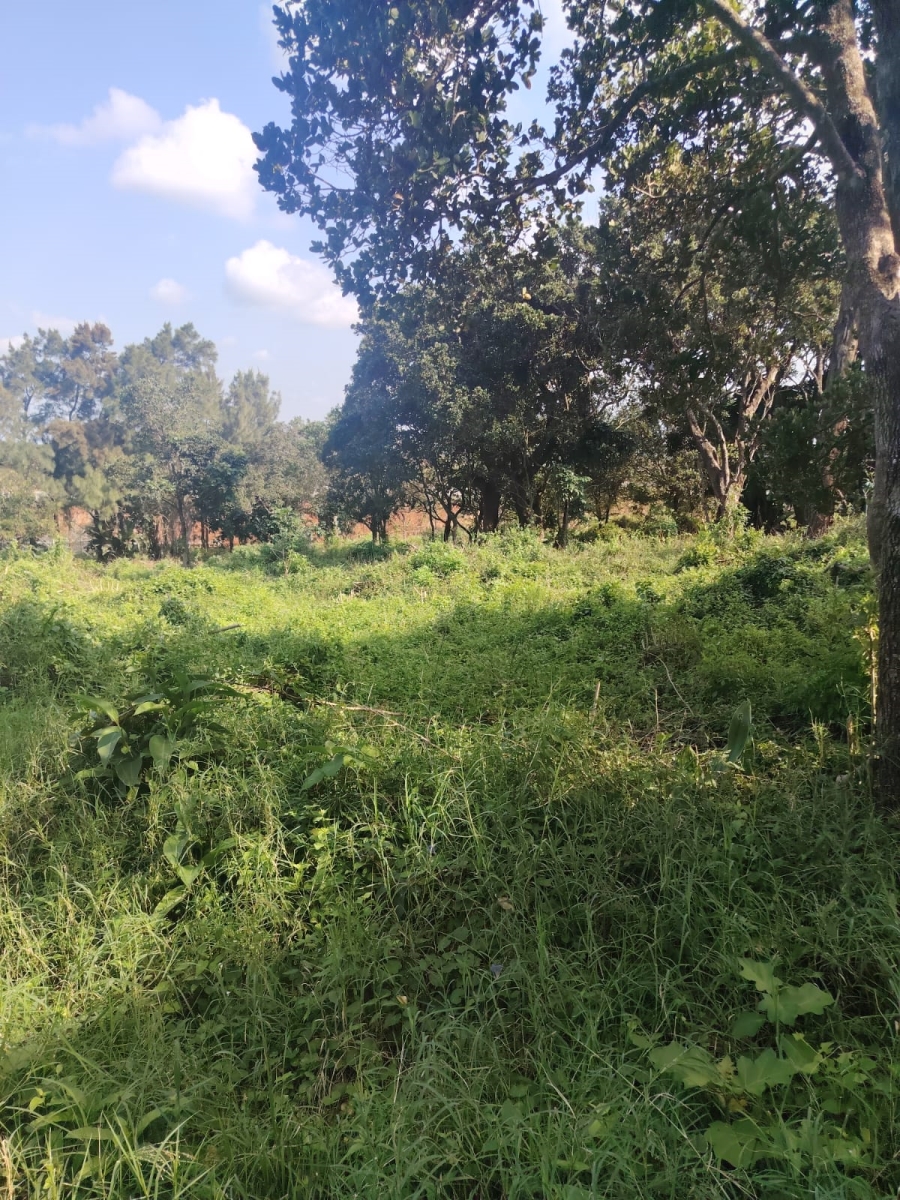 0 Bedroom Property for Sale in Seaton Estate KwaZulu-Natal