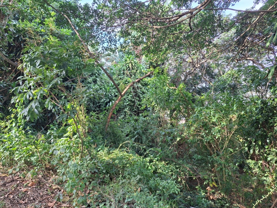 0 Bedroom Property for Sale in Elaleni Coastal Forest Estate KwaZulu-Natal