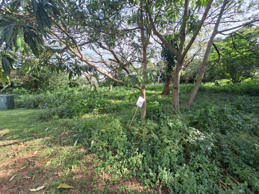 0 Bedroom Property for Sale in Elaleni Coastal Forest Estate KwaZulu-Natal