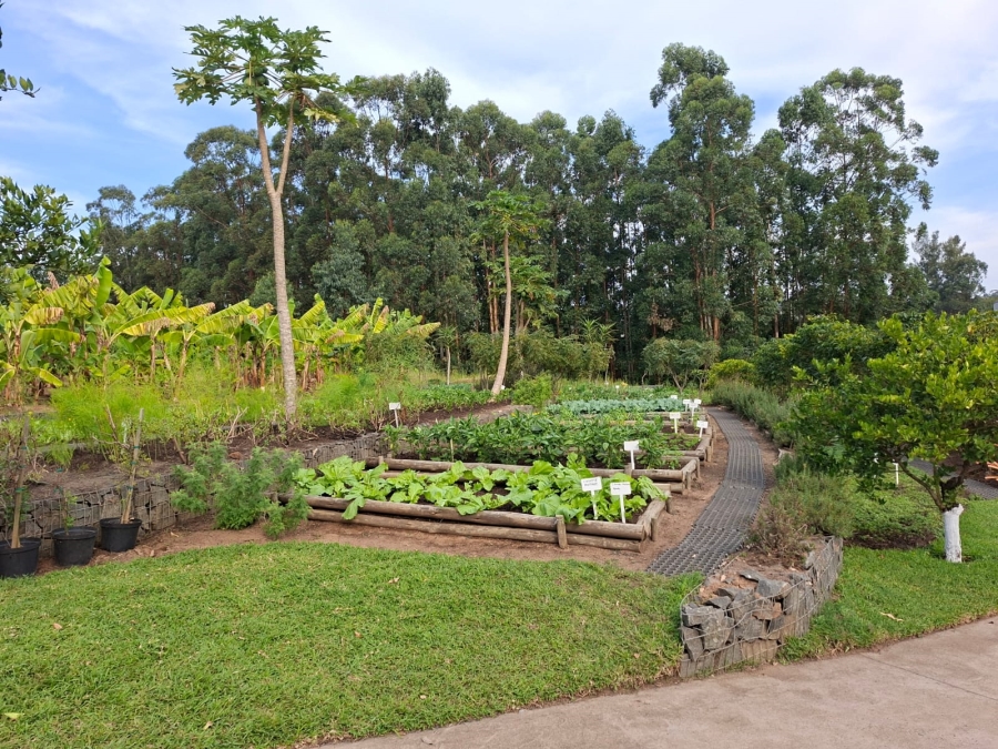 0 Bedroom Property for Sale in Elaleni Coastal Forest Estate KwaZulu-Natal