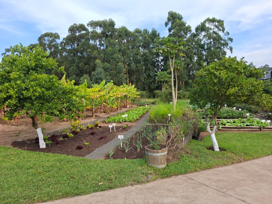 0 Bedroom Property for Sale in Elaleni Coastal Forest Estate KwaZulu-Natal
