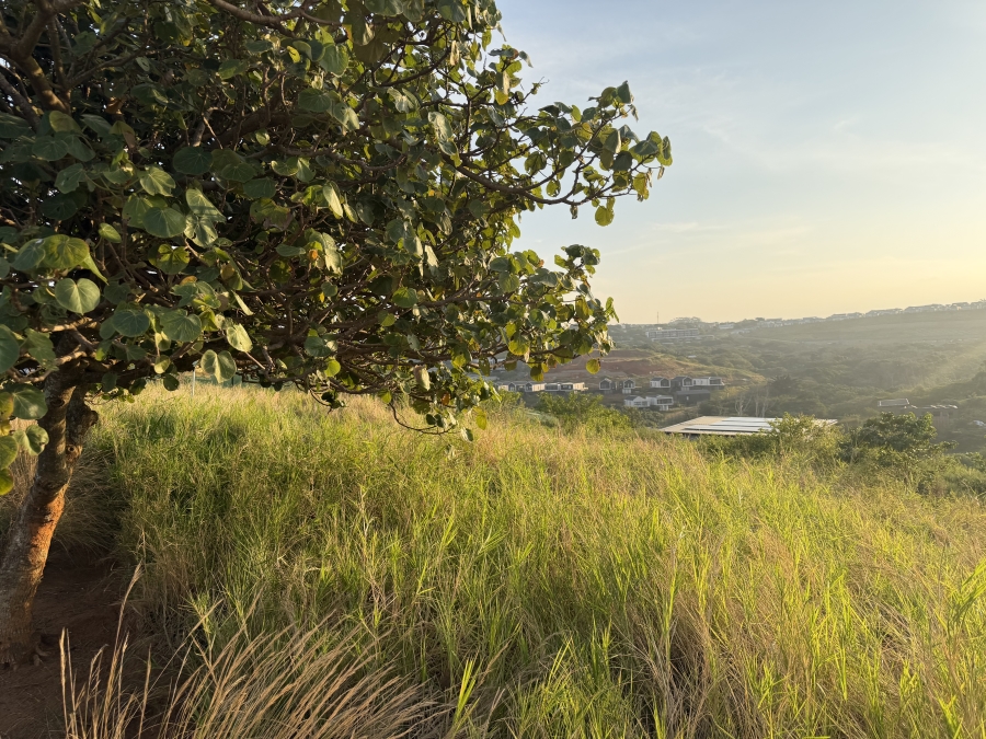 0 Bedroom Property for Sale in Zululami Coastal Estate KwaZulu-Natal