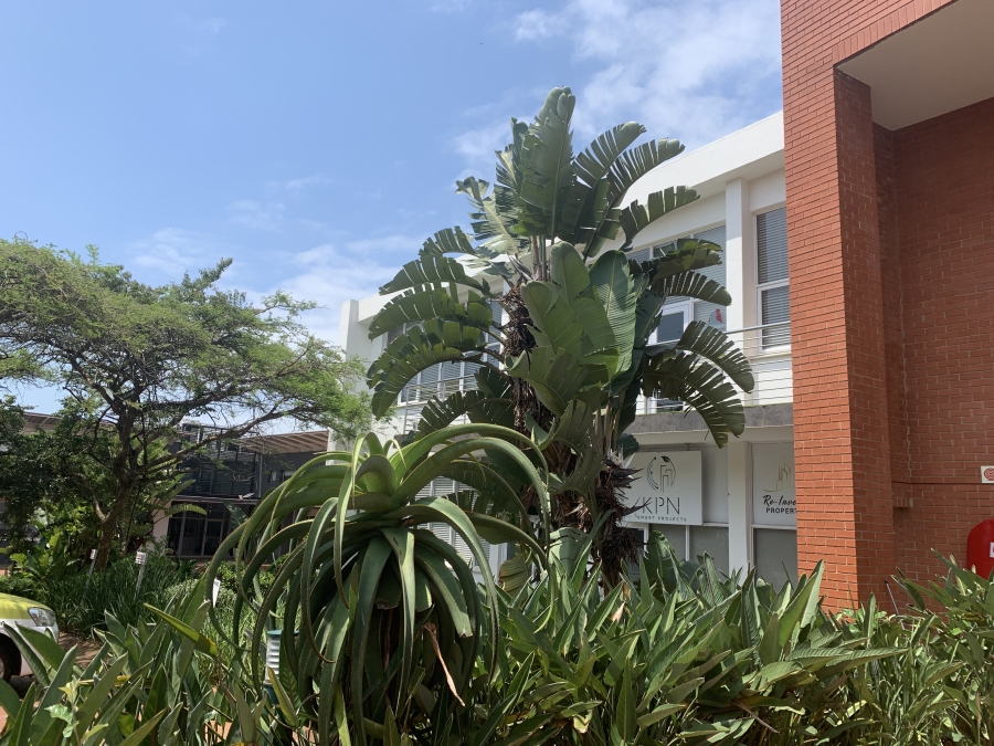 To Let Commercial Property for Rent in La Lucia Ridge KwaZulu-Natal