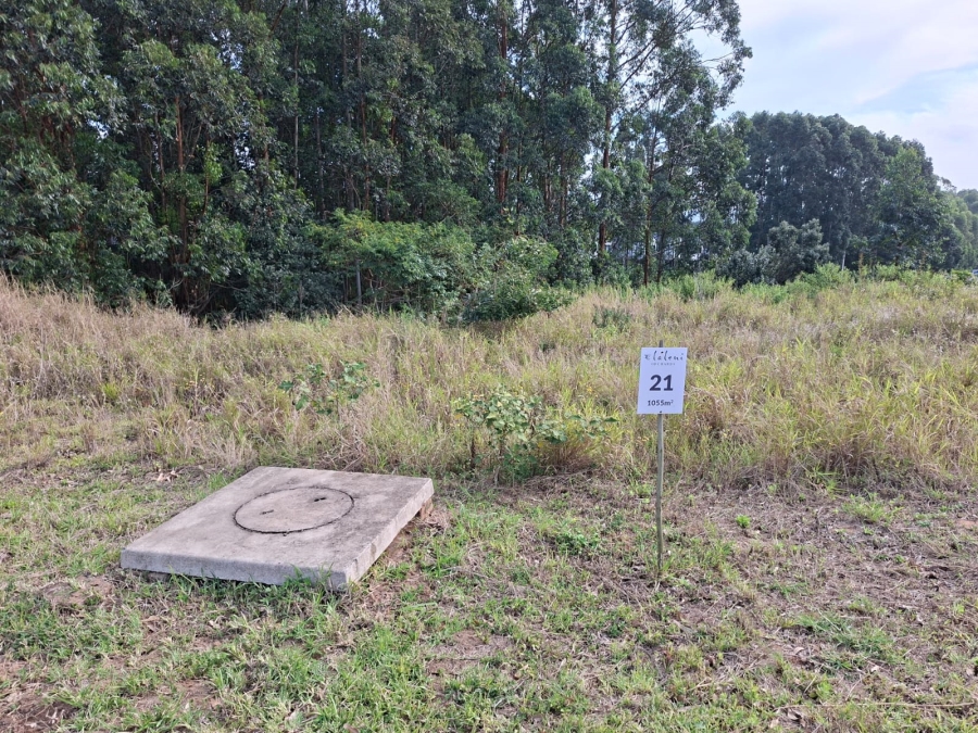 0 Bedroom Property for Sale in Elaleni Coastal Forest Estate KwaZulu-Natal