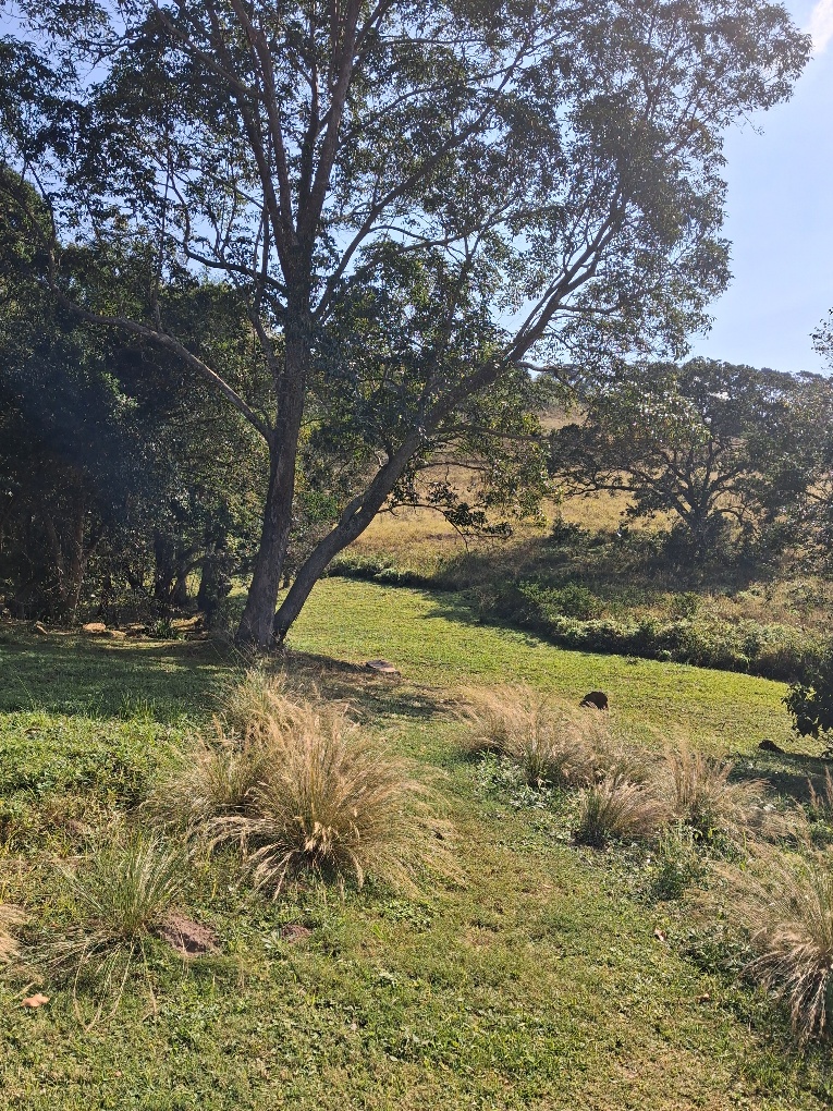 2 Bedroom Property for Sale in Waterfall KwaZulu-Natal