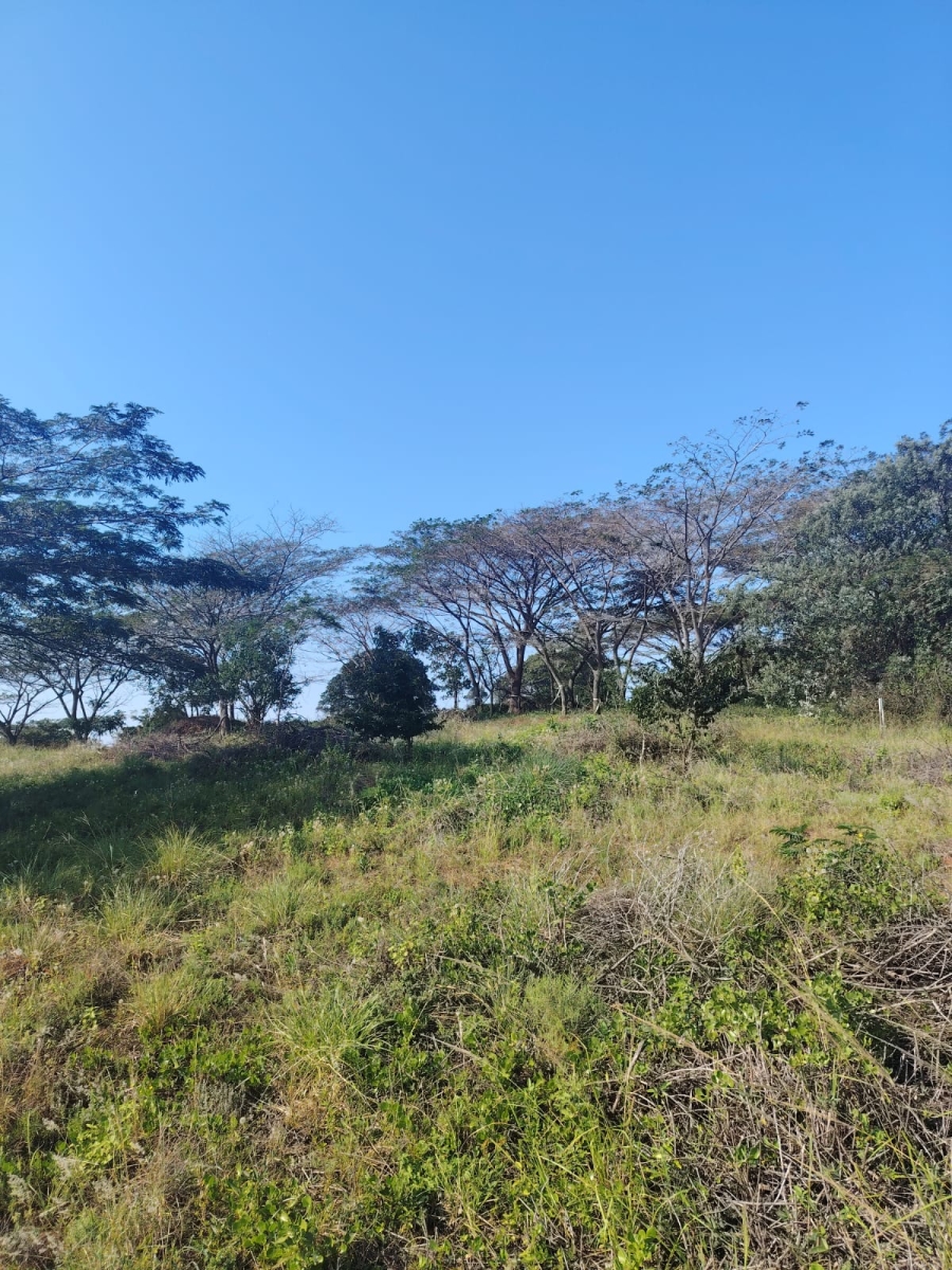 0 Bedroom Property for Sale in Seaton Estate KwaZulu-Natal