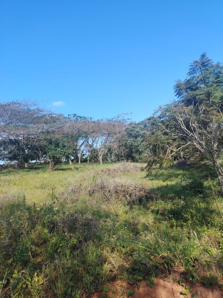 0 Bedroom Property for Sale in Seaton Estate KwaZulu-Natal