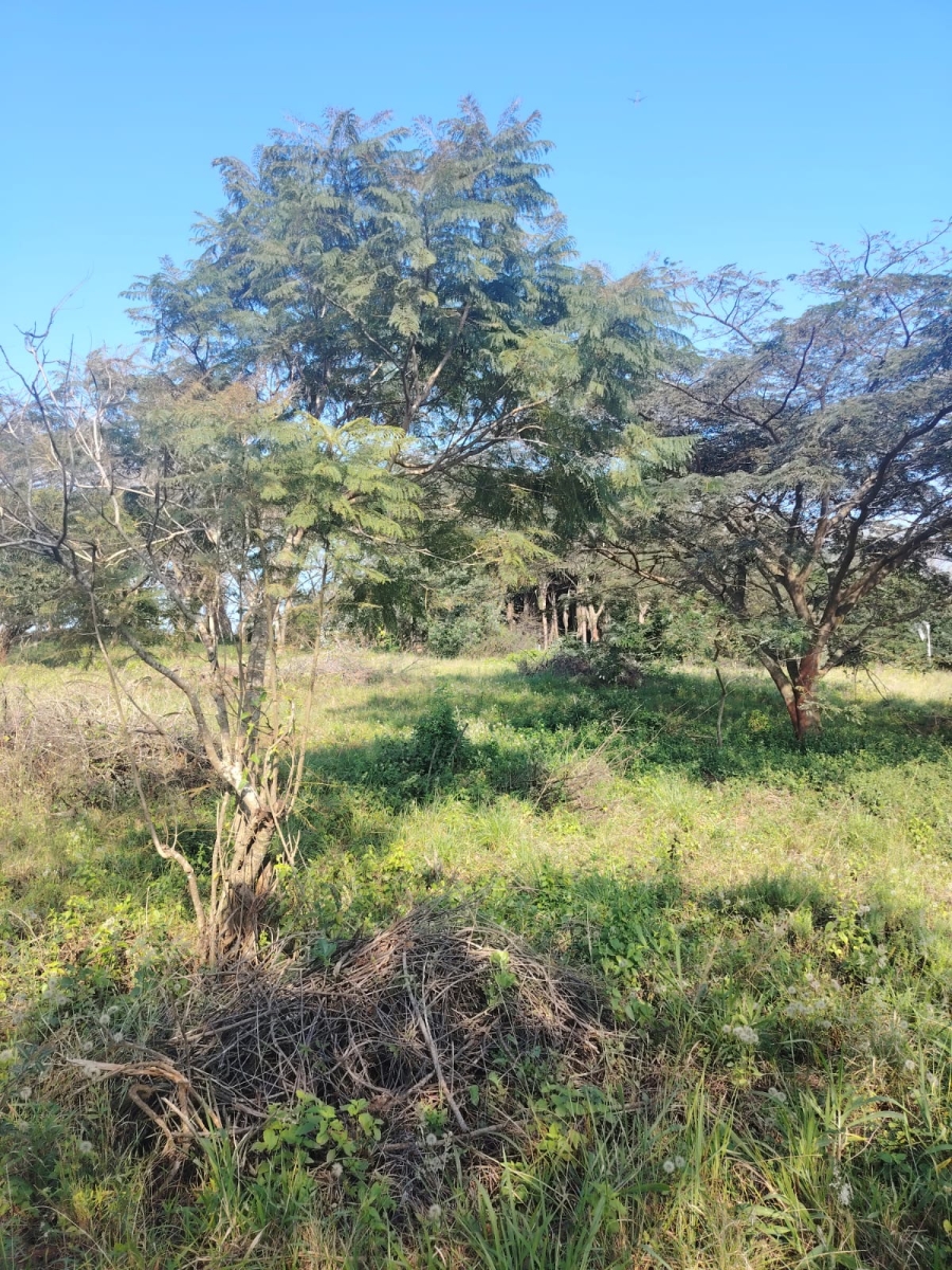 0 Bedroom Property for Sale in Seaton Estate KwaZulu-Natal