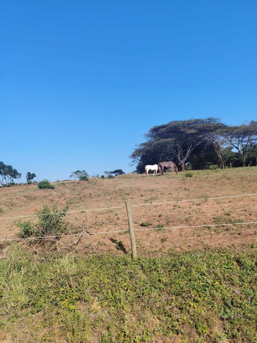 0 Bedroom Property for Sale in Seaton Estate KwaZulu-Natal