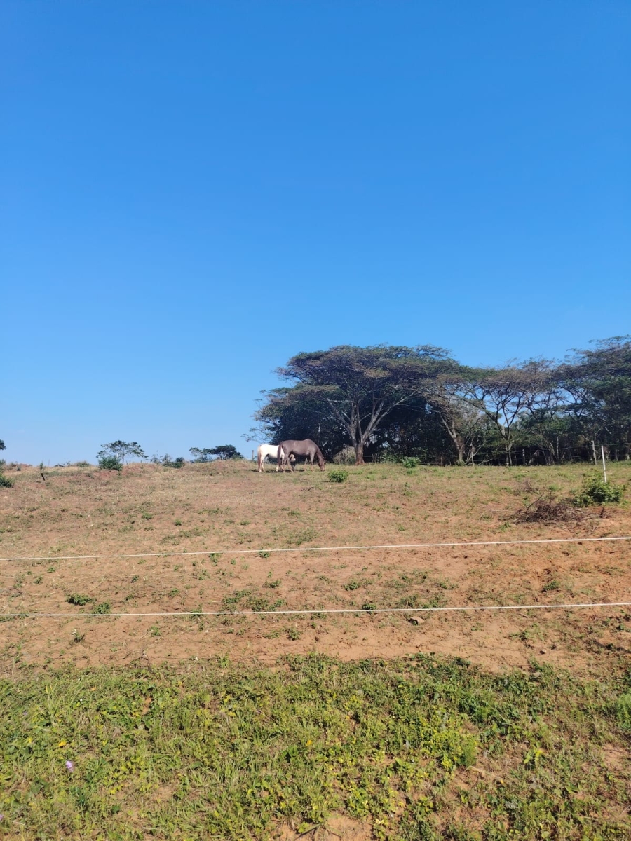 0 Bedroom Property for Sale in Seaton Estate KwaZulu-Natal