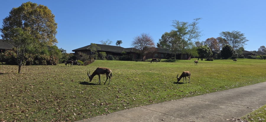 3 Bedroom Property for Sale in Amber Valley KwaZulu-Natal