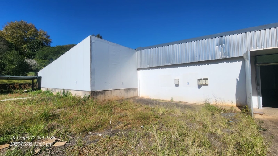 To Let Commercial Property for Rent in Glenwood KwaZulu-Natal