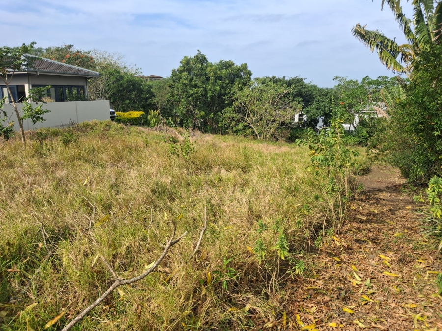 0 Bedroom Property for Sale in Palm Lakes Estate KwaZulu-Natal