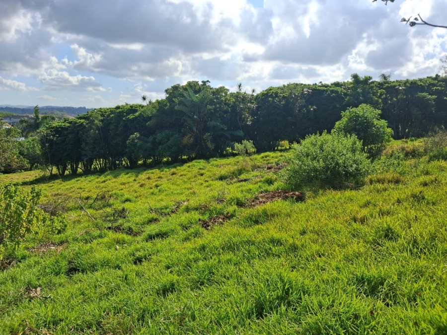 0 Bedroom Property for Sale in Palm Lakes Estate KwaZulu-Natal