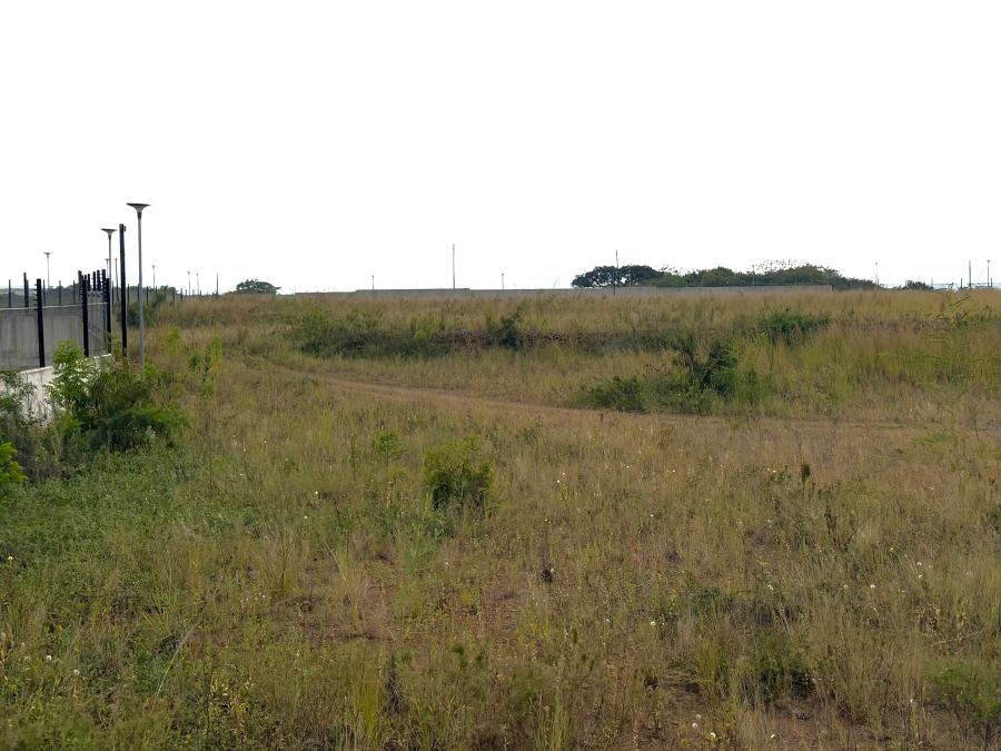 To Let Commercial Property for Rent in Cornubia KwaZulu-Natal