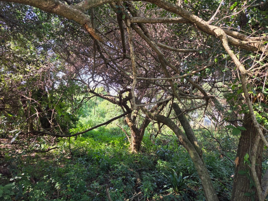0 Bedroom Property for Sale in Elaleni Coastal Forest Estate KwaZulu-Natal