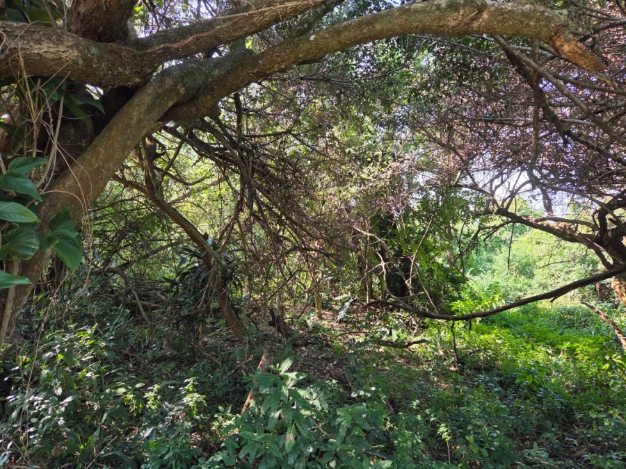 0 Bedroom Property for Sale in Elaleni Coastal Forest Estate KwaZulu-Natal