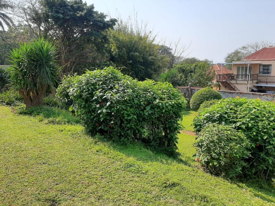 To Let 1 Bedroom Property for Rent in Musgrave KwaZulu-Natal