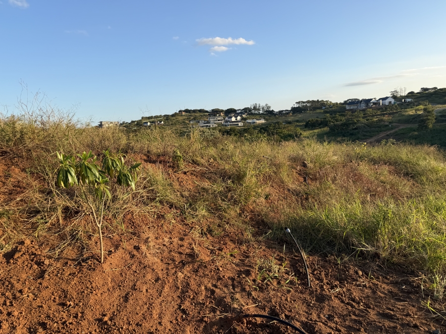 0 Bedroom Property for Sale in Seaton Estate KwaZulu-Natal