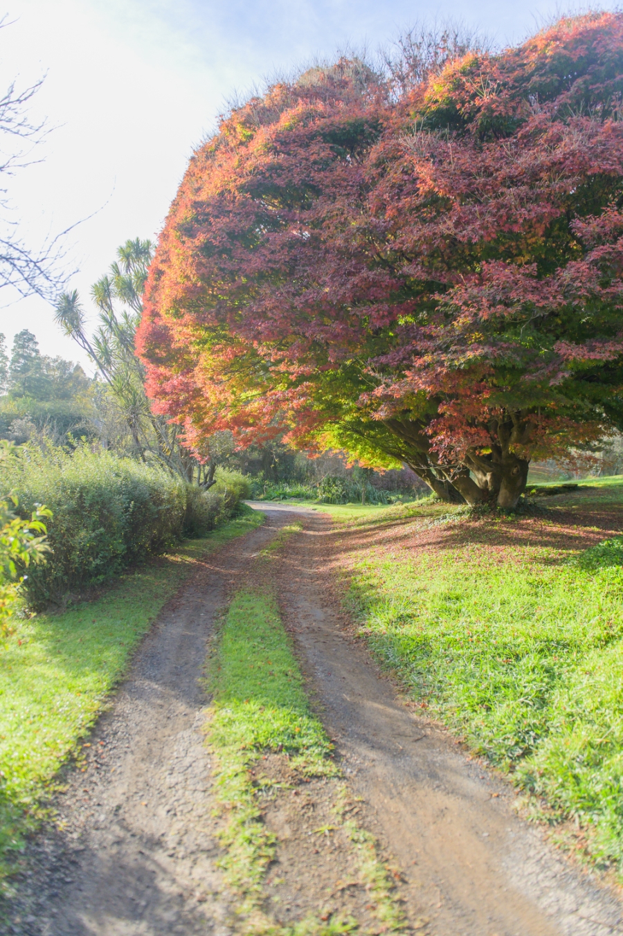 0 Bedroom Property for Sale in Balgowan KwaZulu-Natal