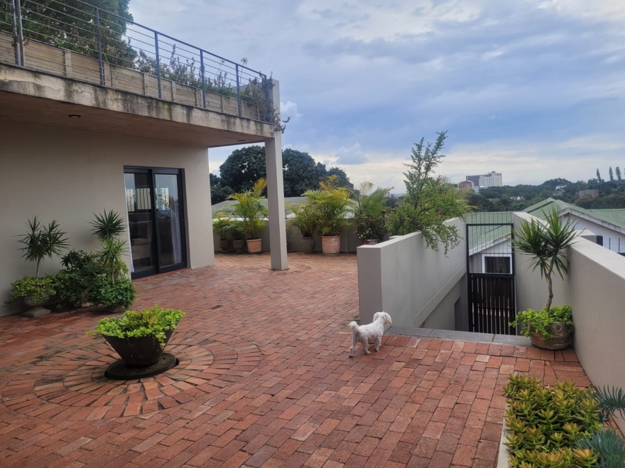 To Let 1 Bedroom Property for Rent in Morningside KwaZulu-Natal