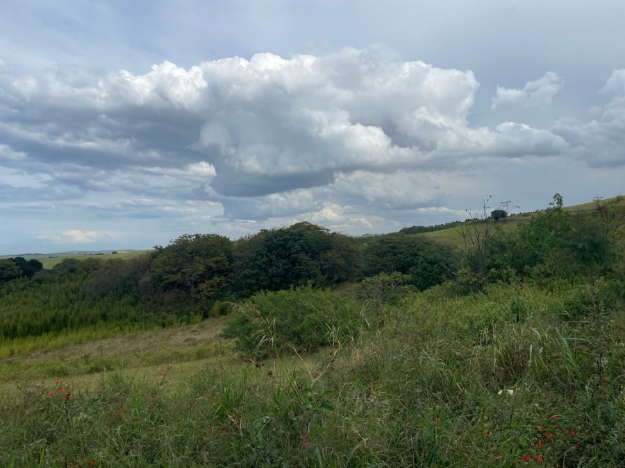 0 Bedroom Property for Sale in Ballito KwaZulu-Natal