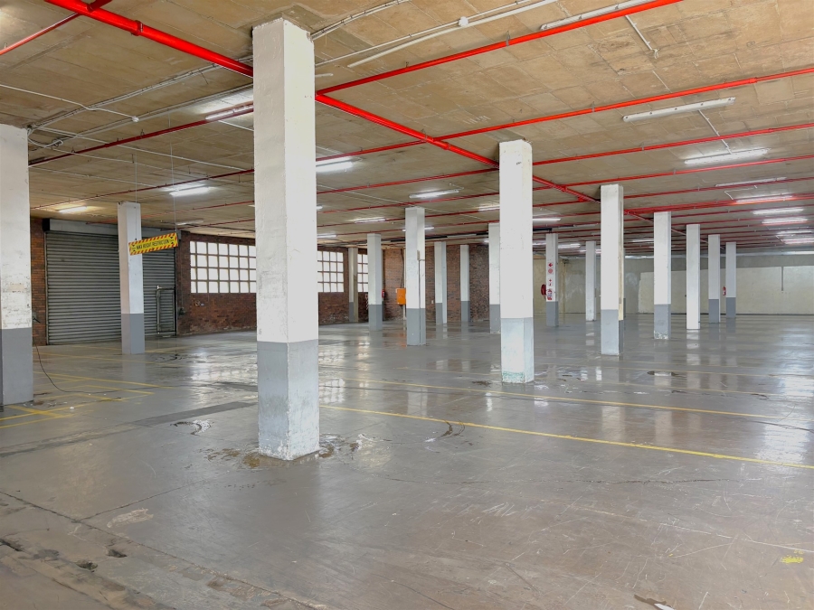 To Let Commercial Property for Rent in Briardene KwaZulu-Natal