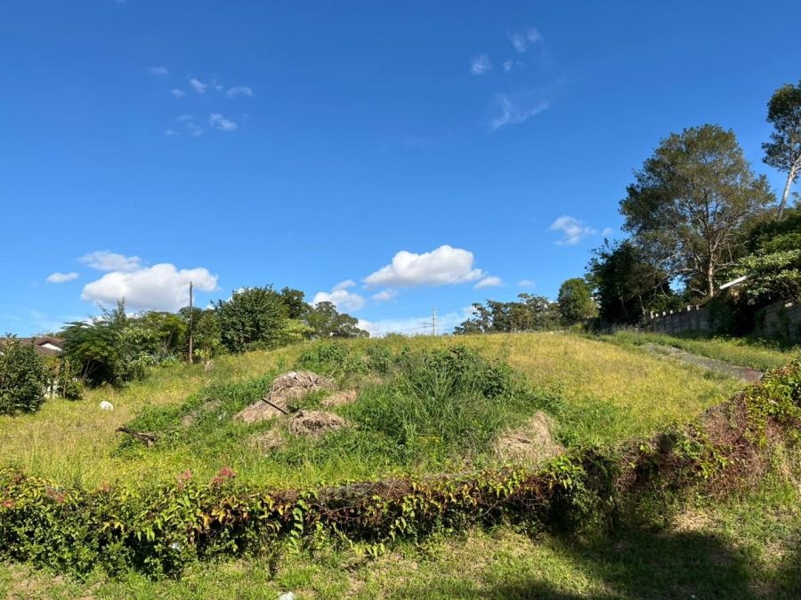 0 Bedroom Property for Sale in Escombe KwaZulu-Natal