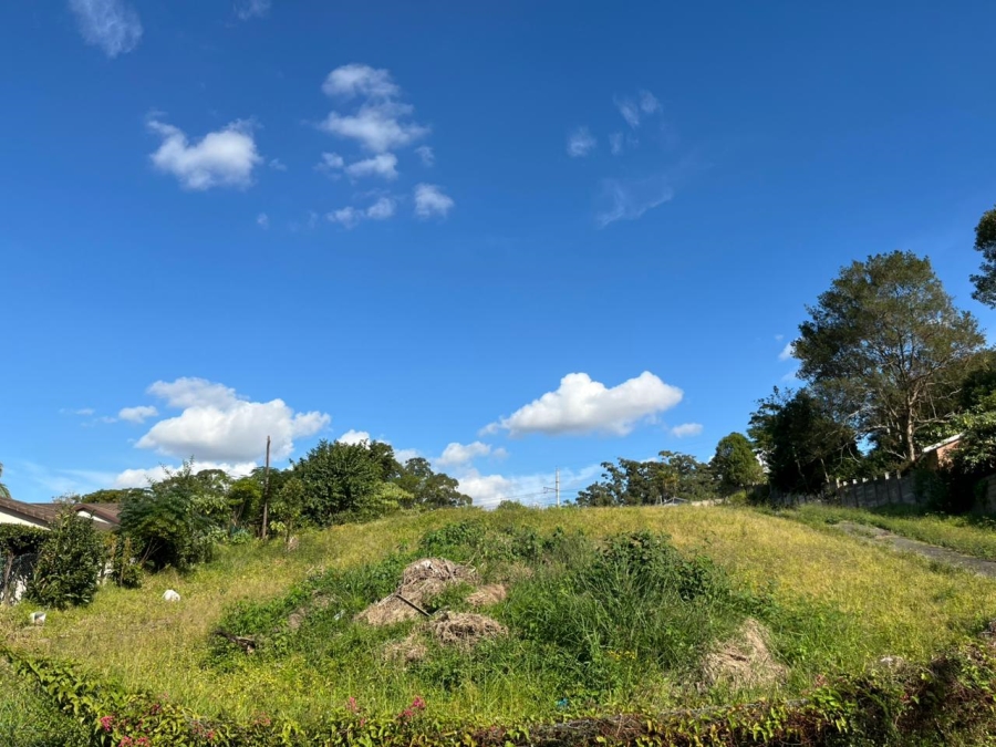 0 Bedroom Property for Sale in Escombe KwaZulu-Natal