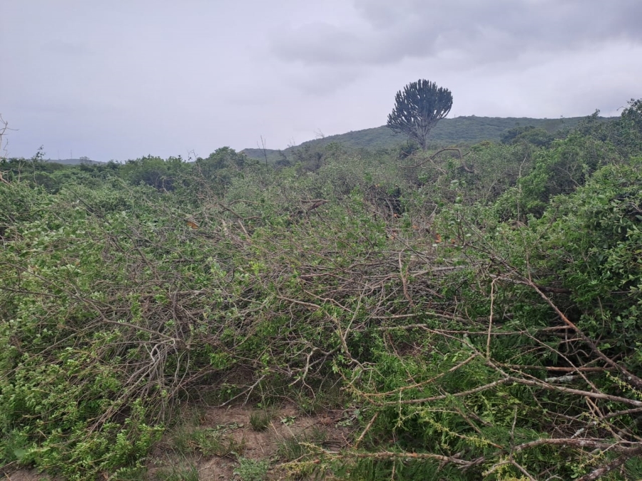 0 Bedroom Property for Sale in Endlondlweni KwaZulu-Natal