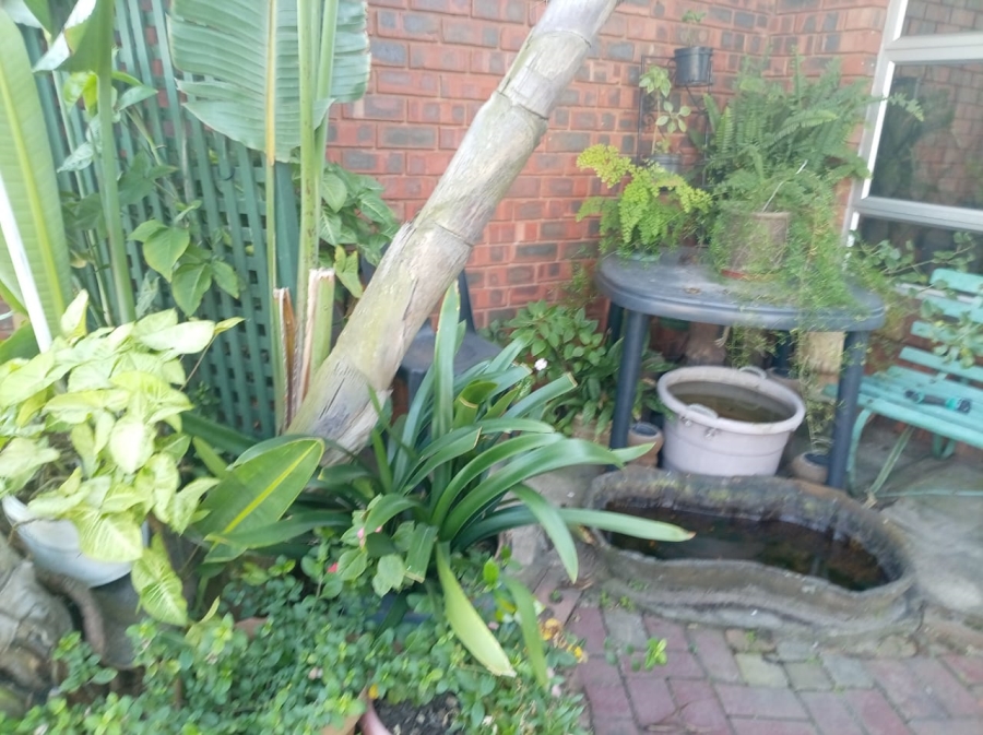 To Let 3 Bedroom Property for Rent in Wild en Weide KwaZulu-Natal