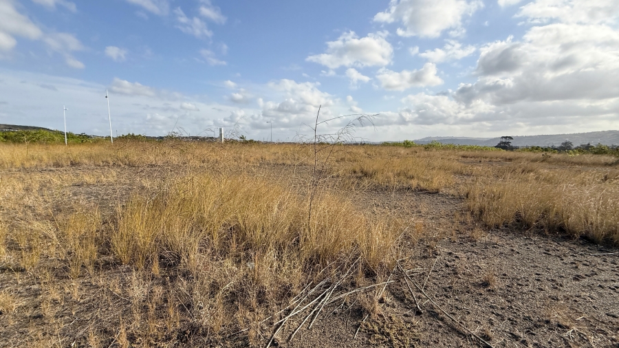 Commercial Property for Sale in Cornubia KwaZulu-Natal