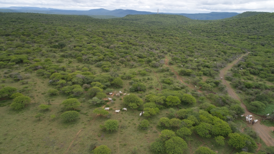 0 Bedroom Property for Sale in Weenen KwaZulu-Natal