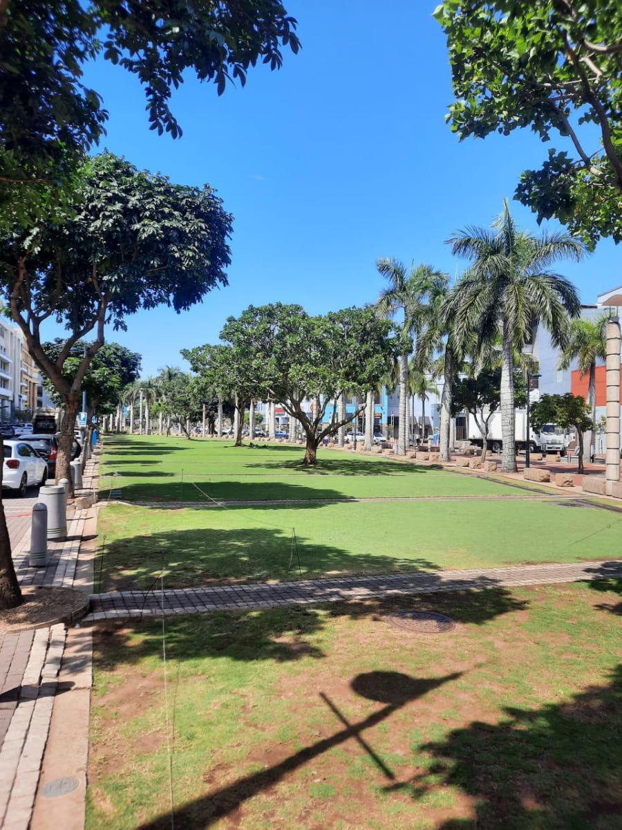 To Let Commercial Property for Rent in Umhlanga KwaZulu-Natal
