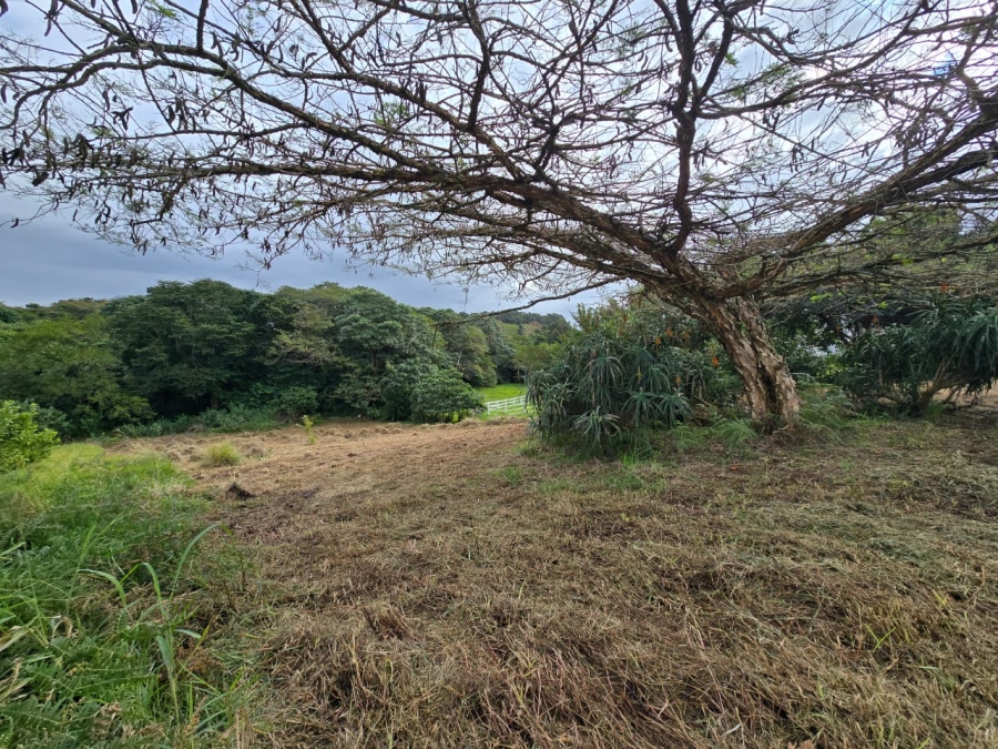 0 Bedroom Property for Sale in Eshowe KwaZulu-Natal